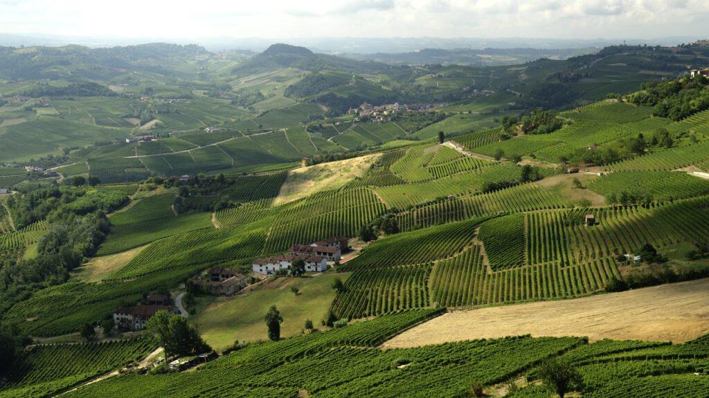 Langhe Italy
